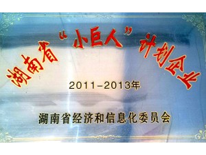 湖南省“小巨人”计划企业