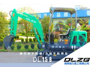 DL15-8微型履带式挖掘机