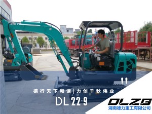 DL22-9先导型小型挖掘机