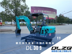 DL30-9小型挖掘机