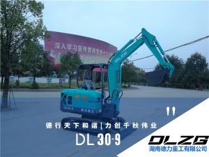DL 30-9微型挖掘机