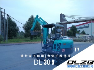 DL 30-9小型挖掘机